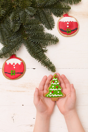 Top view on hands holding homemade Christmas tree cookie on white wooden background with spruce branches and decorations. Christmas, holidays, celebration. Baking at home.
