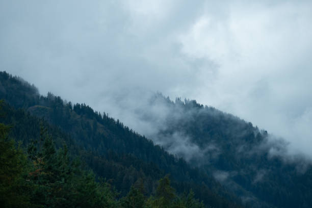 istock Foggy day on the mountains 1422844003