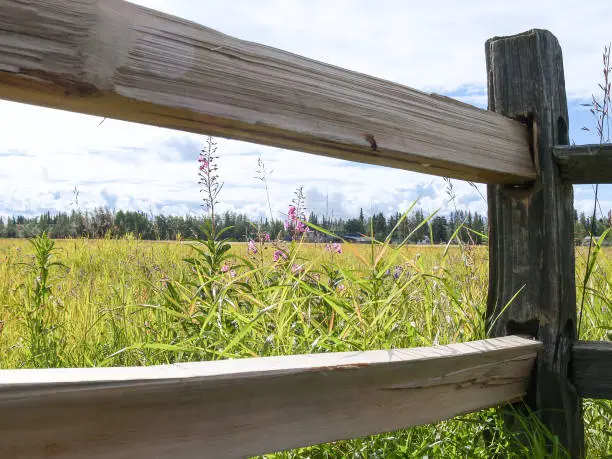 Rural landscape viewed through rails and post of wooden fence in Alaska.
