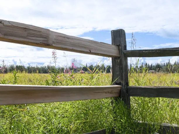 Rural landscape viewed through rails and post of wooden fence in Alaska.
