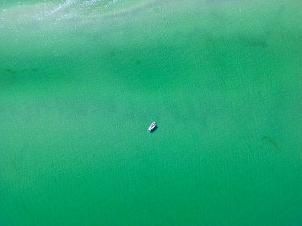 istock Speedboat on turquoise water 1422847467