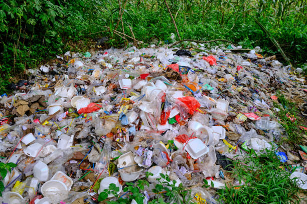 istock Scattered piles of garbage 1422847828