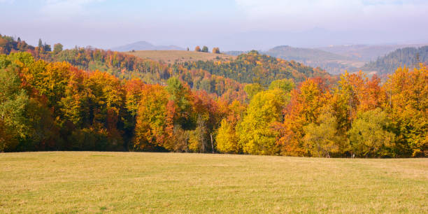 istock calm autumn morning in carpathian mountains 1422847850