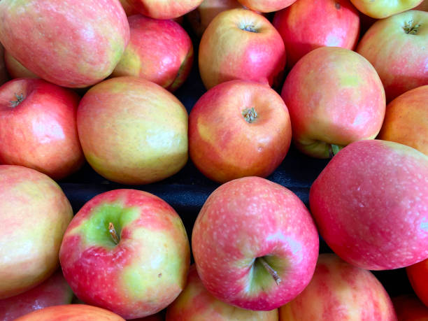 deliciosas manzanas rojas verdes producen mucho manzana orgánica venta abuela agricultores frescos cosechados mercado fruta comida exhibición - agriculture autumn apple greengrocers shop fotografías e imágenes de stock