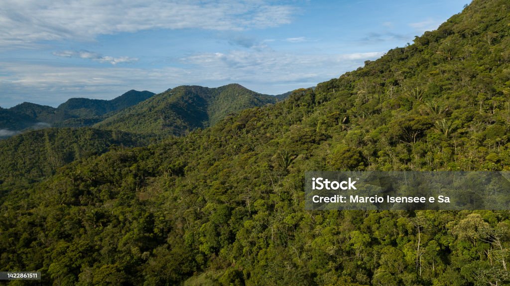 Atlantic Rainforest, one of the most biodiverse biome in the World. Forest landscapes in the Atlantic Forest, one of the most biodiverse biomes in the world, which has been reduced to 12% of its original extent in Brazil. In the municipality of Nova Friburgo, Rio de Janeiro, the protection of nature is done by the residents themselves. Mata Atlantica Stock Photo