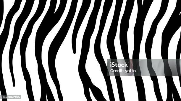Zebra Simple Background Zebra Pattern Skin Print Design Background Image Stock Illustration ...
