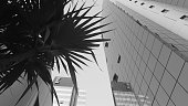 istock Black and White Photography of Modern Buildings 1422862564