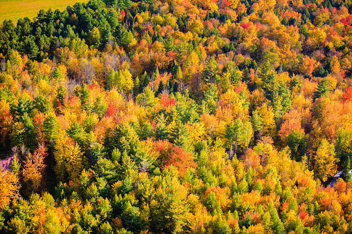 Aeiral view of autumn trees from the air in Stowe Vermont USA