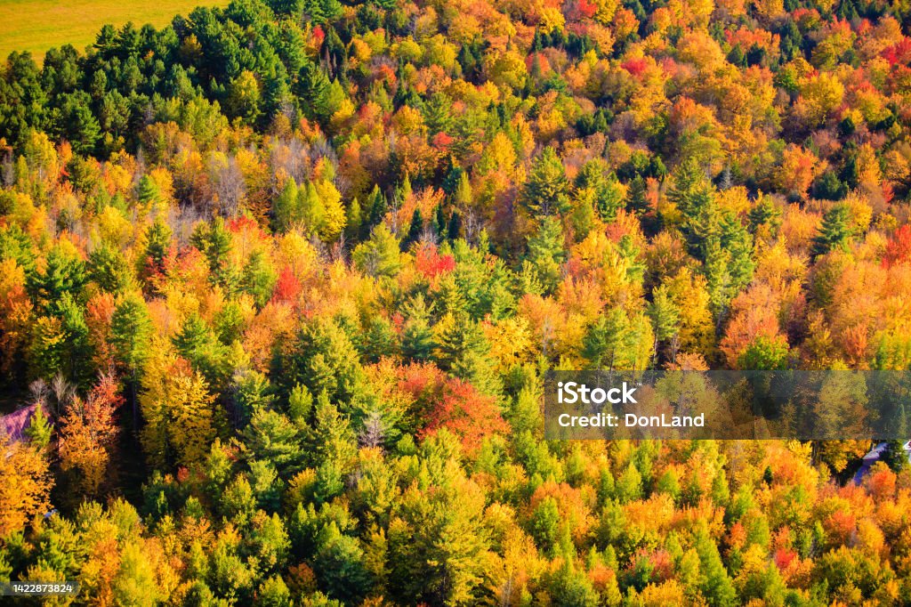 Colorful Autumn Landscape from Above Aeiral view of autumn trees from the air in Stowe Vermont USA Autumn Stock Photo