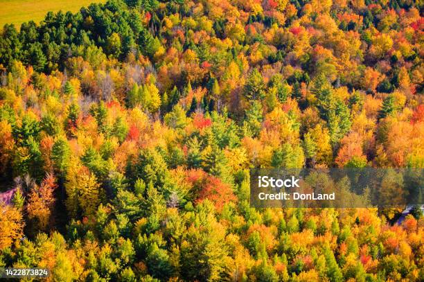 Colorful Autumn Landscape From Above Stock Photo - Download Image Now - Autumn, Aerial View, Vermont