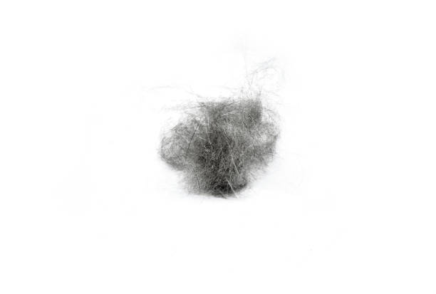 istock pet brush with fur on white background 1422874706
