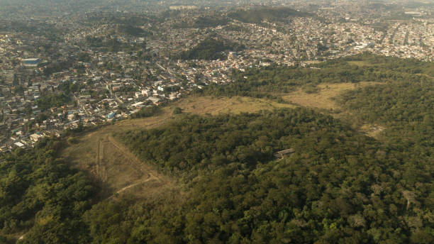 In Rio de Janeiro, Camboatá Forest is transformed into a protected area. stock photo