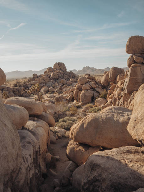 istock Massive Boulders at Quail Spring in Joshua Tree National Park 1422880730