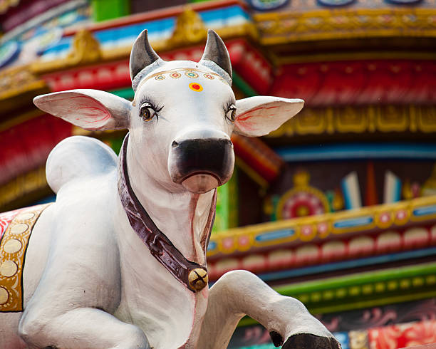istock Sacred Hindu Cow Statue 142288813