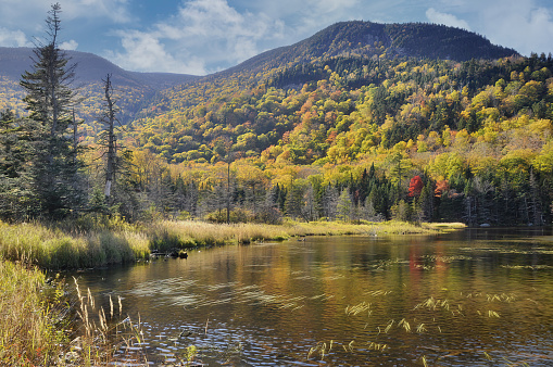 Autumn scene in White Mountain National Forest of New Hampshire. Majestic Mount Moosilauke, colorful fall foliage, and calm surface of beaver pond near top of Kinsman Notch.