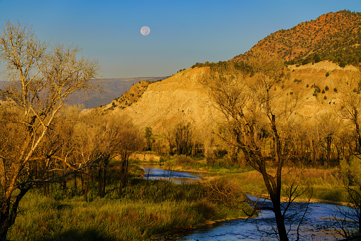 Moon in Sky Above Red Rock Canyon Cliffs - Scenic landscape with full moon low in sky.