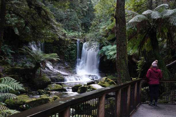 a woman standing at horseshoe falls in mount field national park in tasmania - awe beauty in nature waterfall cool imagens e fotografias de stock