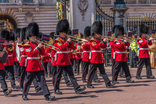 músicos na mudança da guarda em frente ao palácio real de buckingham - changing the guard - fotografias e filmes do acervo