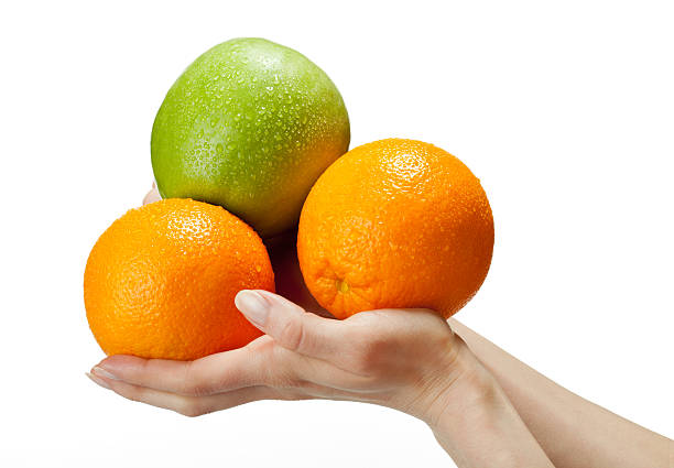 istock Human hands holding fresh fruits 142289294