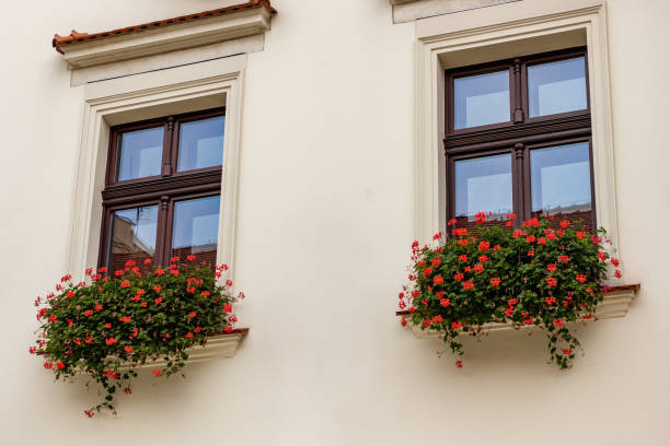 istock Two windows with coral flowers on beige wall 1422893868