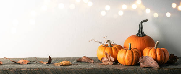 święto dziękczynienia dekoracja - miniature pumpkin zdjęcia i obrazy z banku zdjęć