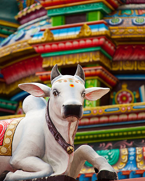 istock Sacred Hindu Cow Statue 142289557