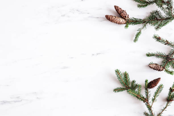istock Christmas composition. Fir tree branches on white marble background. Christmas, winter, new year concept. Flat lay, top view, copy space 1422896670