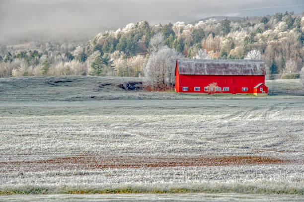 istock Old red barn on a cold New England morning 1422898354