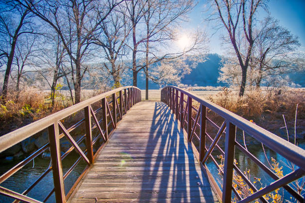 puente del camino de recreación de stowe en una mañana fría - puente peatonal fotografías e imágenes de stock