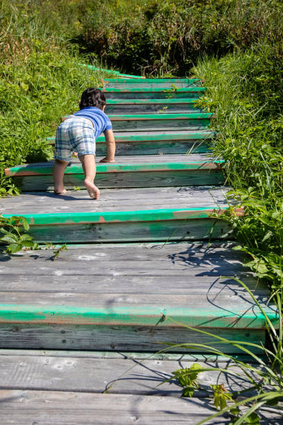 A toddler climbs up short wooden stairs, outside.