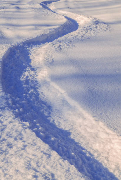 istock Snowboarder tracks in the snow 1422902780