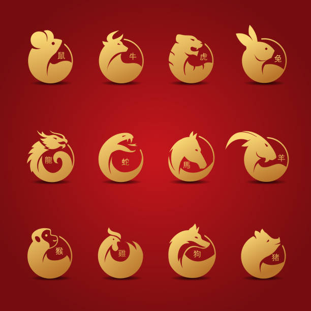 Chinese zodiac sign  icons Chinese zodiac sign  icons gold colour vector illustration year of the rabbit stock illustrations