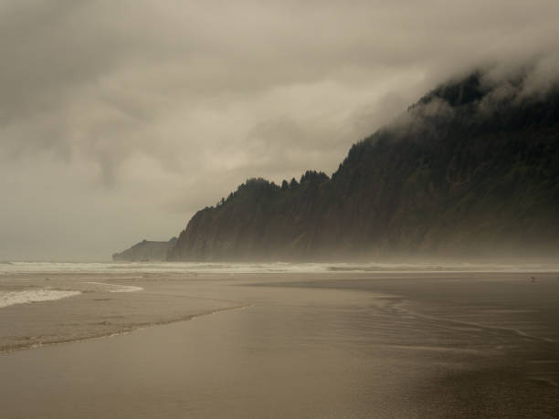 istock Oregon Coast in Fog 1422907280