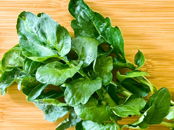 Organic Watercress on a Bamboo Tray Horizontal high angle extreme closeup photo of a bunch of green Watercress freshly harvested from an organic garden in Spring. cress stock pictures, royalty-free photos & images