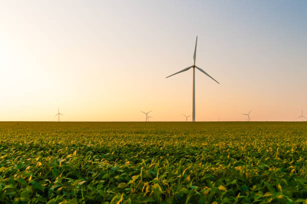 istock Large wind turbines in the midwest 1422918480