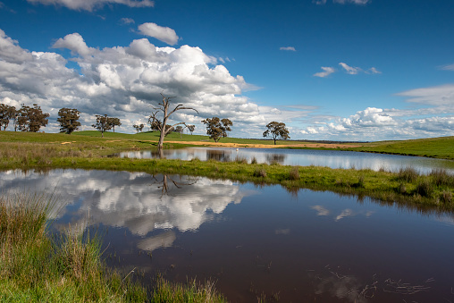 Rural dam on farmland in Central Victoria