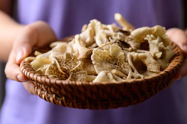 istock Edible mushroom in basket in hand 1422925636