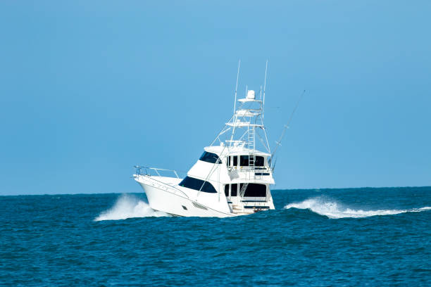 istock Sportfish to sea 1422925649