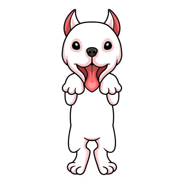 Vector illustration of Cute dogo argentino dog cartoon
