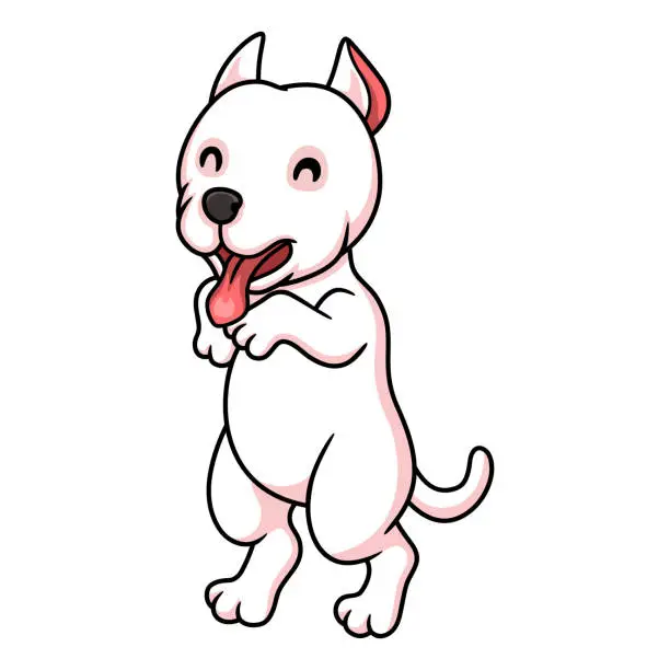 Vector illustration of Cute dogo argentino dog cartoon