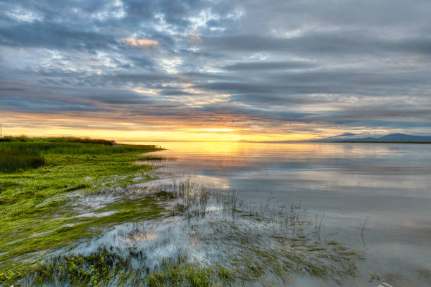 川が海と出会う河口の夕日の眺め - estuary ストックフォトと画像