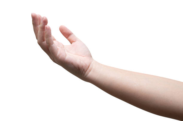 istock Women hand reach and ready to help or receive. Gesture isolated. 1422934972