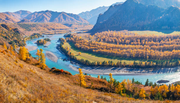Over a mountain gorge with a river, autumn Over a mountain gorge with a river, autumn view altay state nature reserve stock pictures, royalty-free photos & images