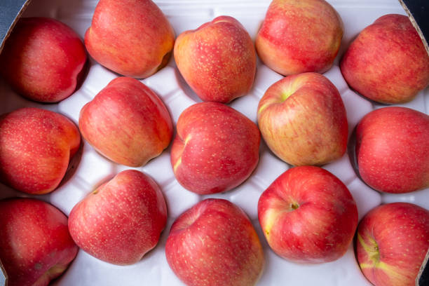 istock Korean delicious fruit dessert apple 1422936368