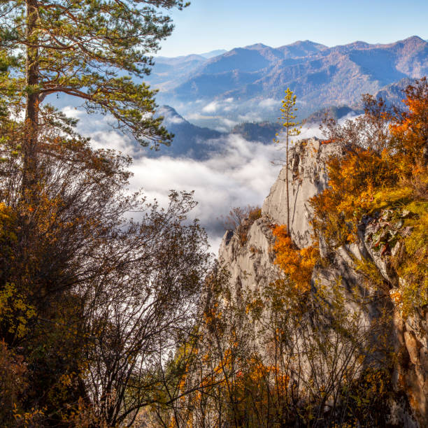 Autumn view, colorful vegetation and fog Autumn view, colorful vegetation and fog in the valley. western siberia stock pictures, royalty-free photos & images