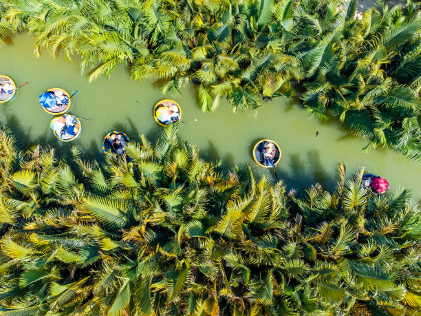 aerial view of bay mau coconut forest which is a very famous destination of hoi an ancient town. - marble imagens e fotografias de stock