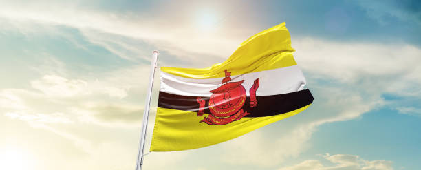 ブルネイの旗 - brunei flag ストックフォトと画像