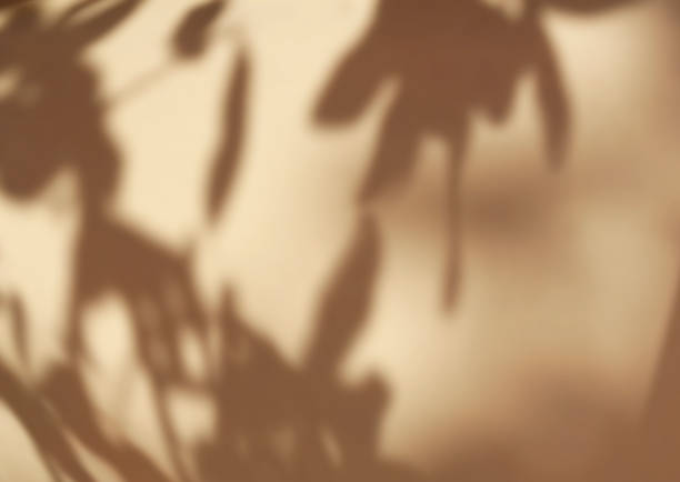 istock Nature leaves shadow on yellow wall background 1422949835