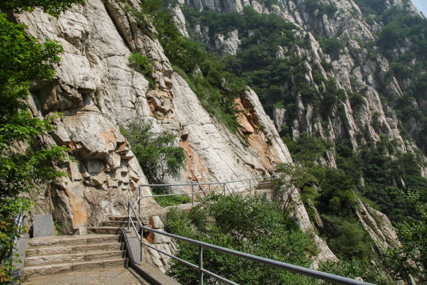 istock stairway in the jungle 1422958192