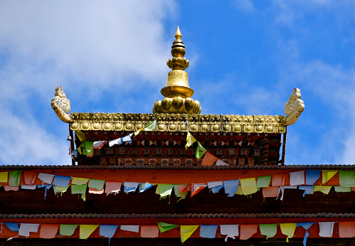 Gangtey Monastery - roof detail with 'sertog' finial, Wangdue Phodrang District, Bhutan